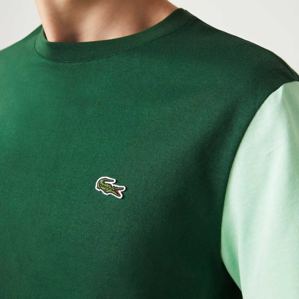 Lacoste Regular Fit Colorblock Cotton Jersey T-Shirt Green / Blue / Light Green | ZXM-604328