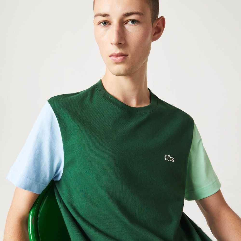 Lacoste Regular Fit Colorblock Cotton Jersey T-Shirt Green / Blue / Light Green | ZXM-604328