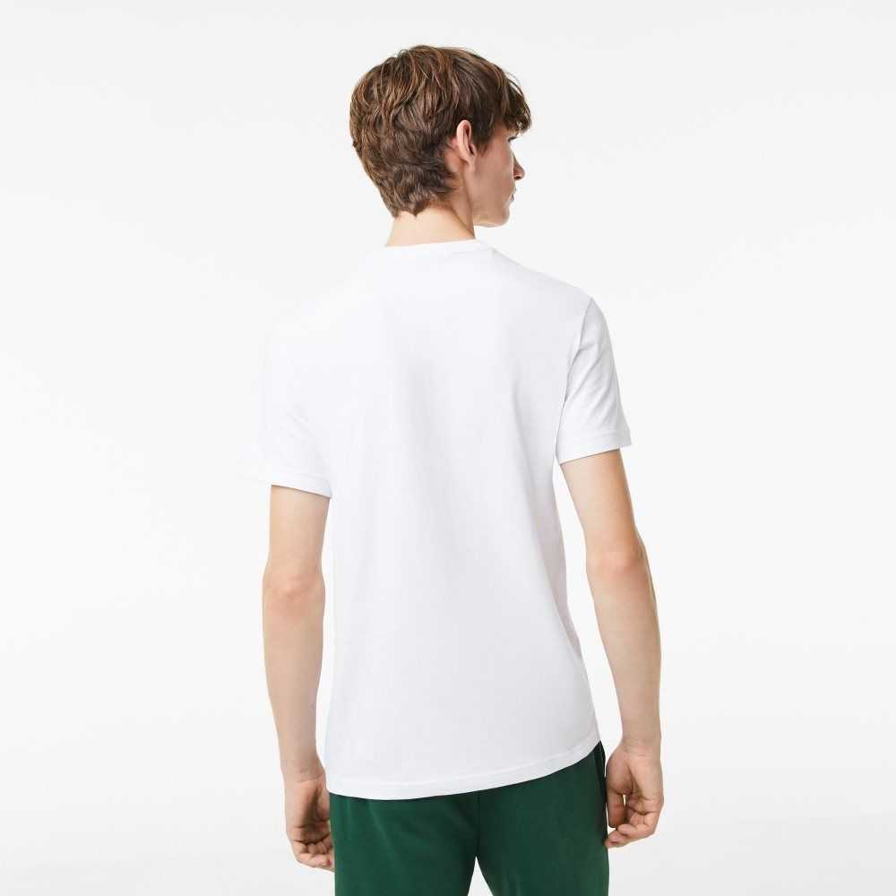 Lacoste Regular Fit Jersey T-Shirt White | DWB-483952