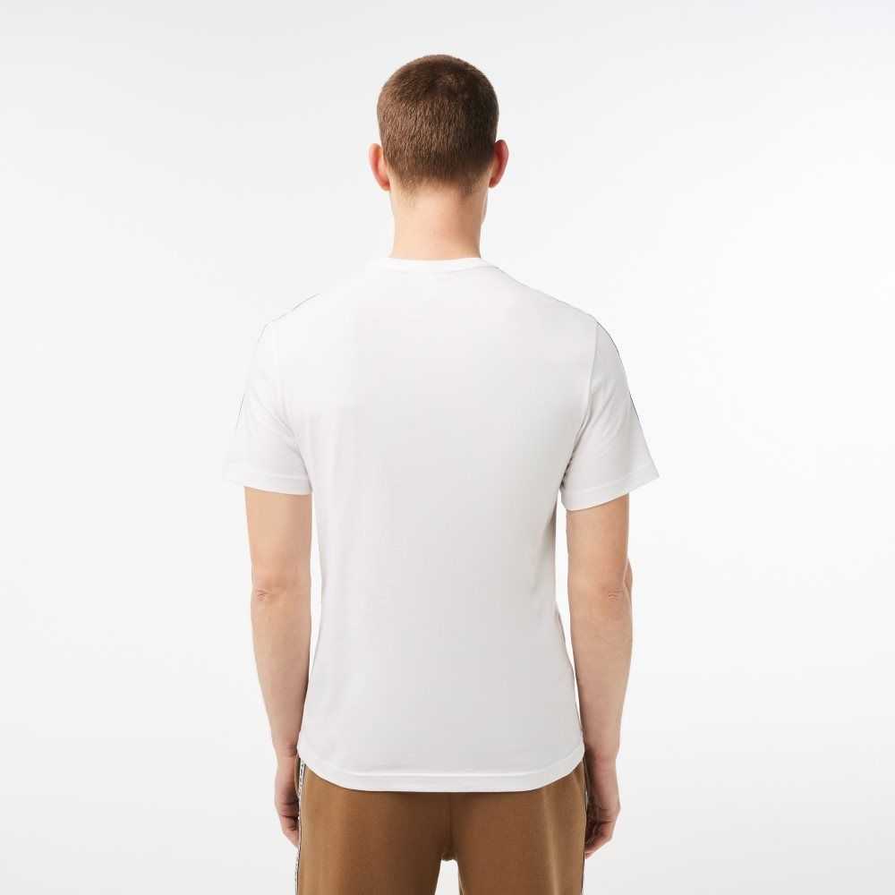 Lacoste Regular Fit Logo Stripe T-Shirt White | HFD-685073