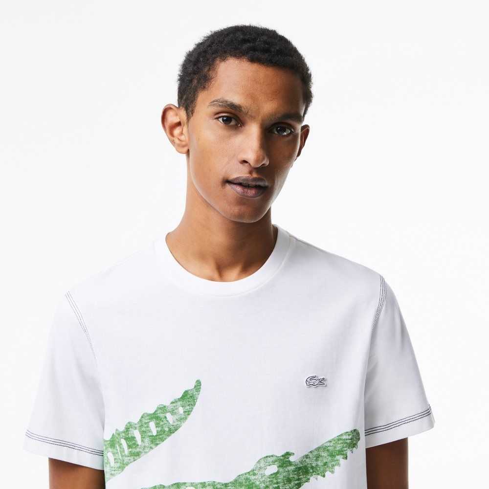 Lacoste Regular Fit Organic Cotton Jersey T-Shirt White | ARQ-328145