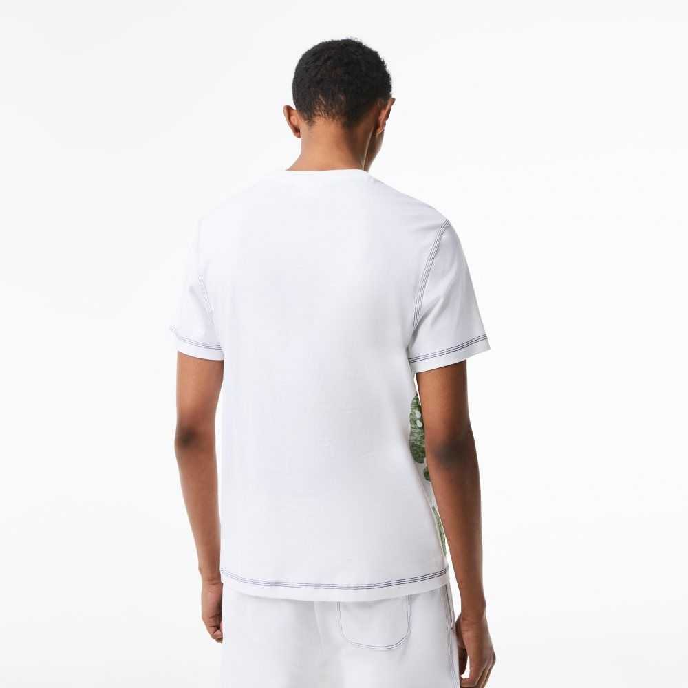 Lacoste Regular Fit Organic Cotton Jersey T-Shirt White | ARQ-328145