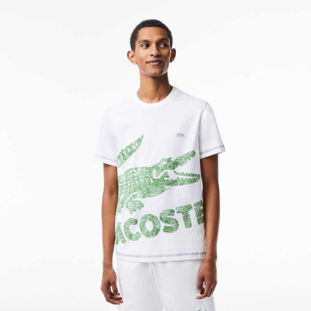 Lacoste Regular Fit Organic Cotton Jersey T-Shirt White | ARQ-328145