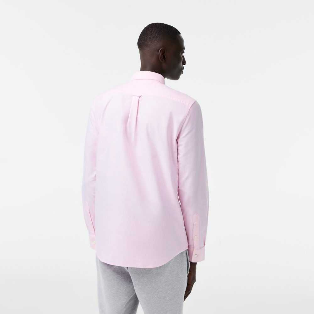 Lacoste Regular Fit Oxford Cotton Shirt Light Pink | GVC-083417