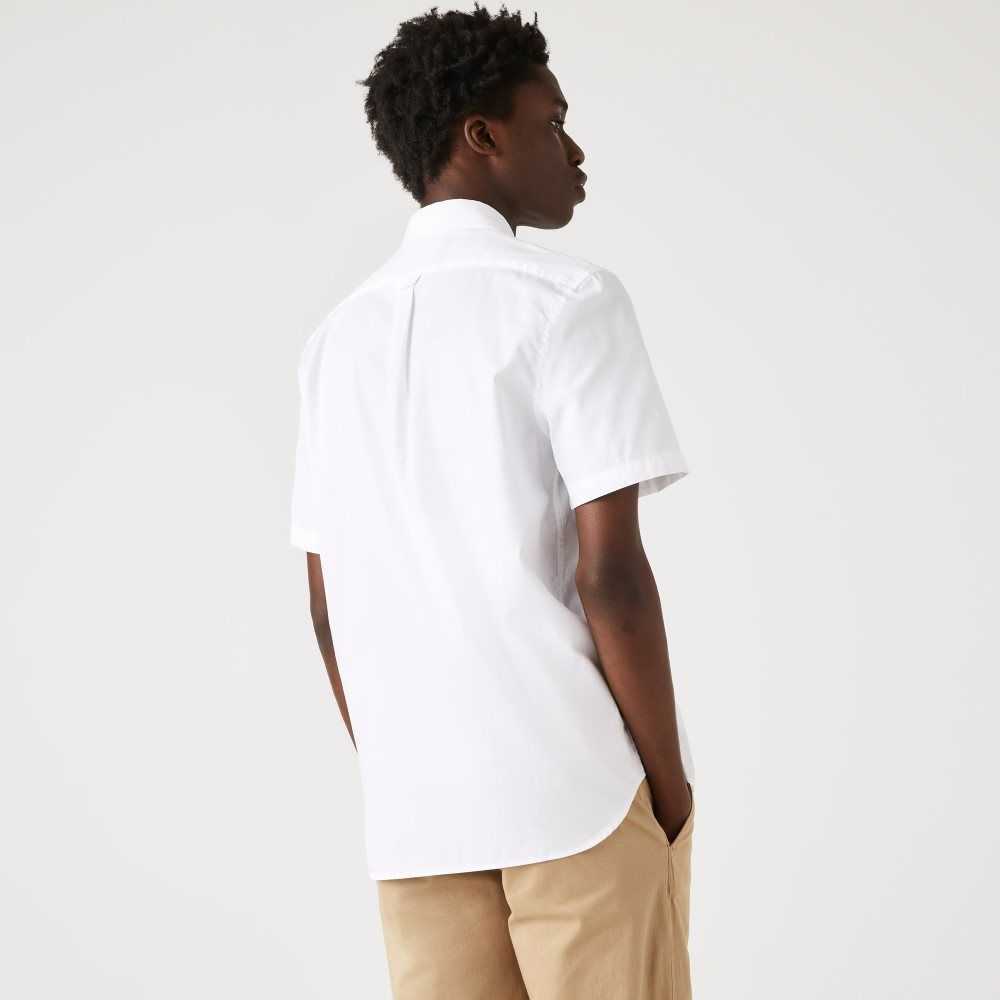 Lacoste Regular Fit Oxford Cotton Shirt White | UJW-180472