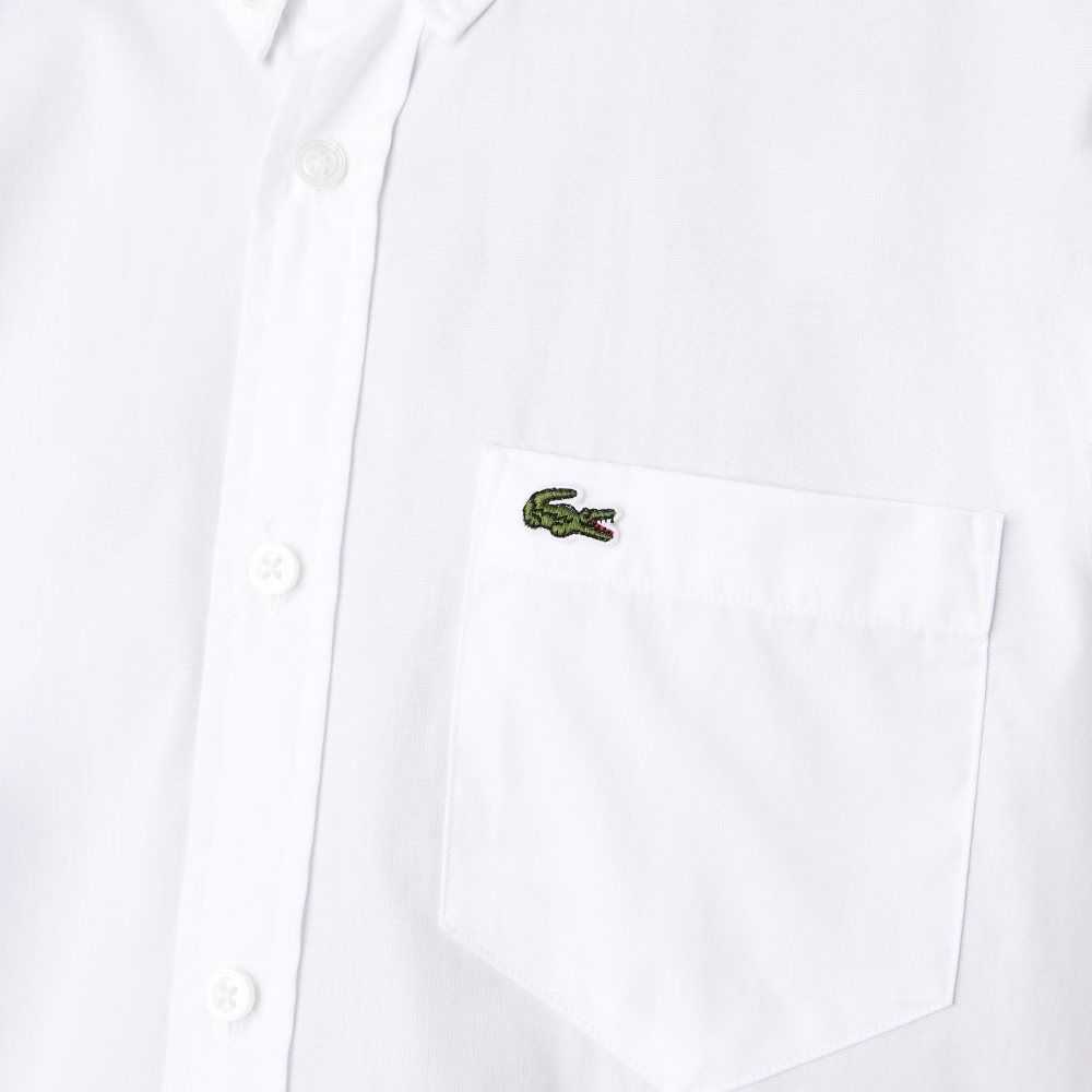 Lacoste Regular Fit Oxford Cotton Shirt White | UJW-180472