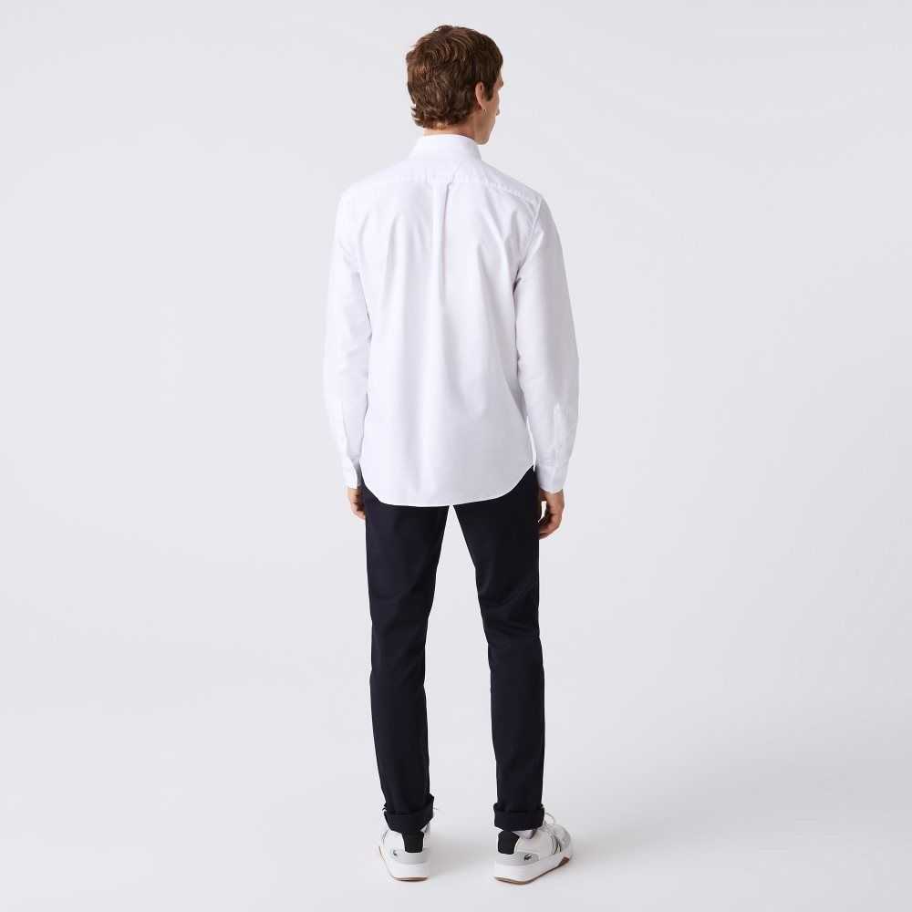 Lacoste Regular Fit Oxford Cotton Shirt White | WKA-397284