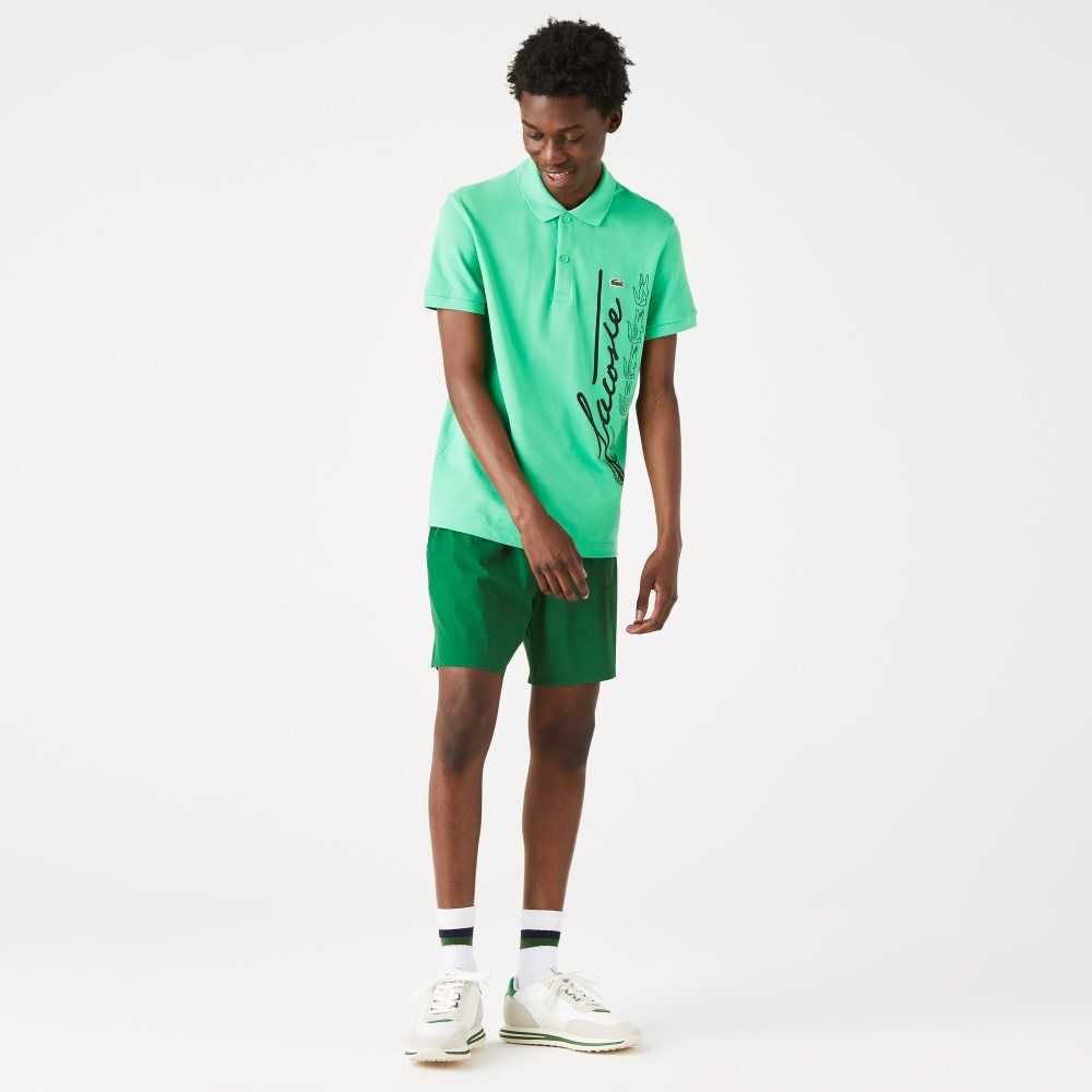 Lacoste Regular Fit Signature Cotton Pique Polo Green | QXU-213890