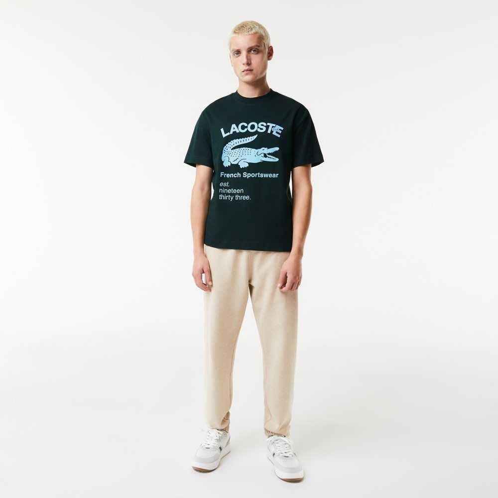 Lacoste Relaxed Fit Crocodile T-Shirt Green | FLW-906451