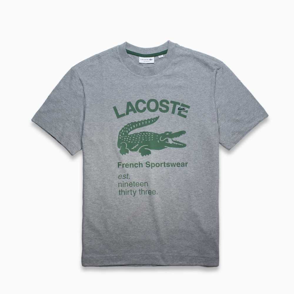 Lacoste Relaxed Fit Crocodile T-Shirt Grey Chine | GLR-876920