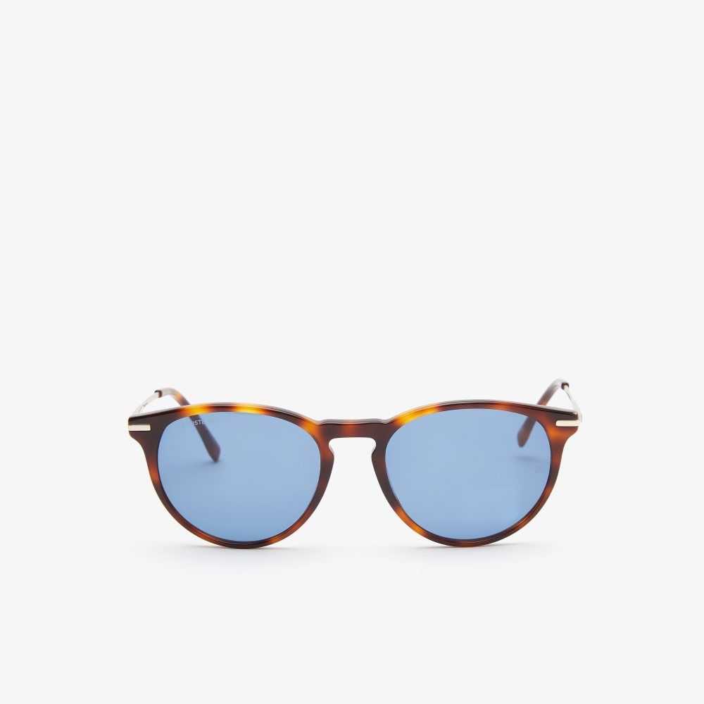 Lacoste Round Acetate Novak Djokovic Sunglasses Havana Brn | SAG-643185