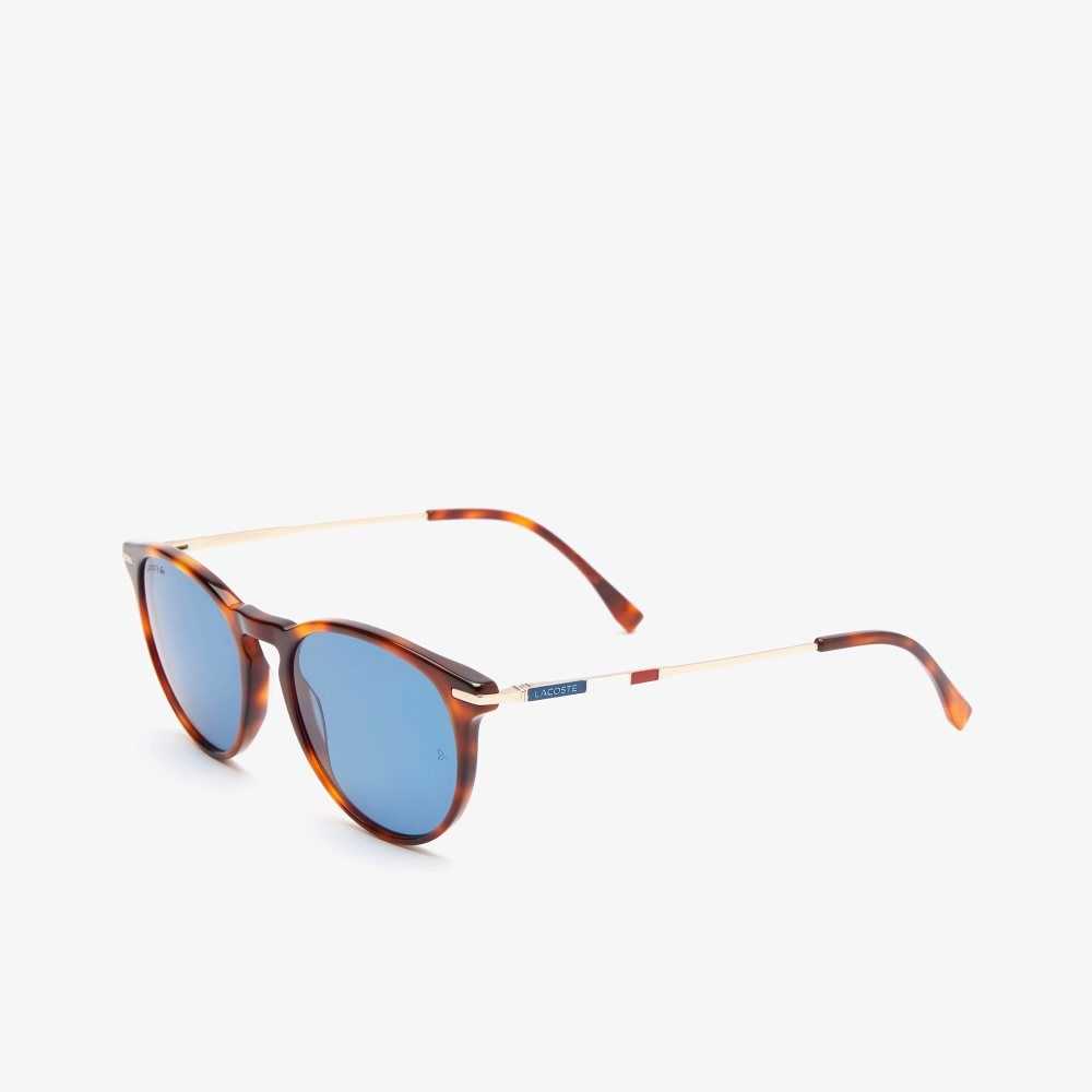 Lacoste Round Acetate Novak Djokovic Sunglasses Havana Brn | SAG-643185