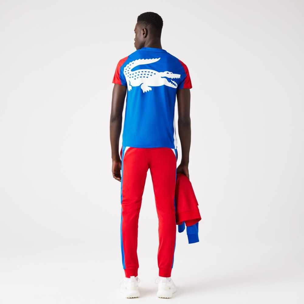 Lacoste SPORT Crocodile Print Tennis T-Shirt Blue / Red / White | NCL-514906