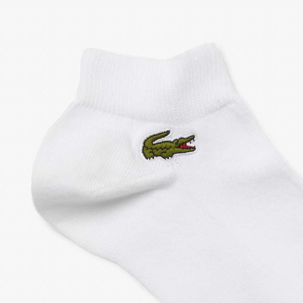 Lacoste SPORT Low-Cut Socks 3-Pack White | AEW-429650