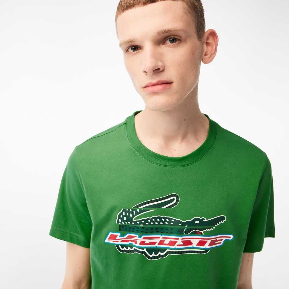 Lacoste SPORT Regular Fit Organic Cotton T-Shirt Green | DAS-015432