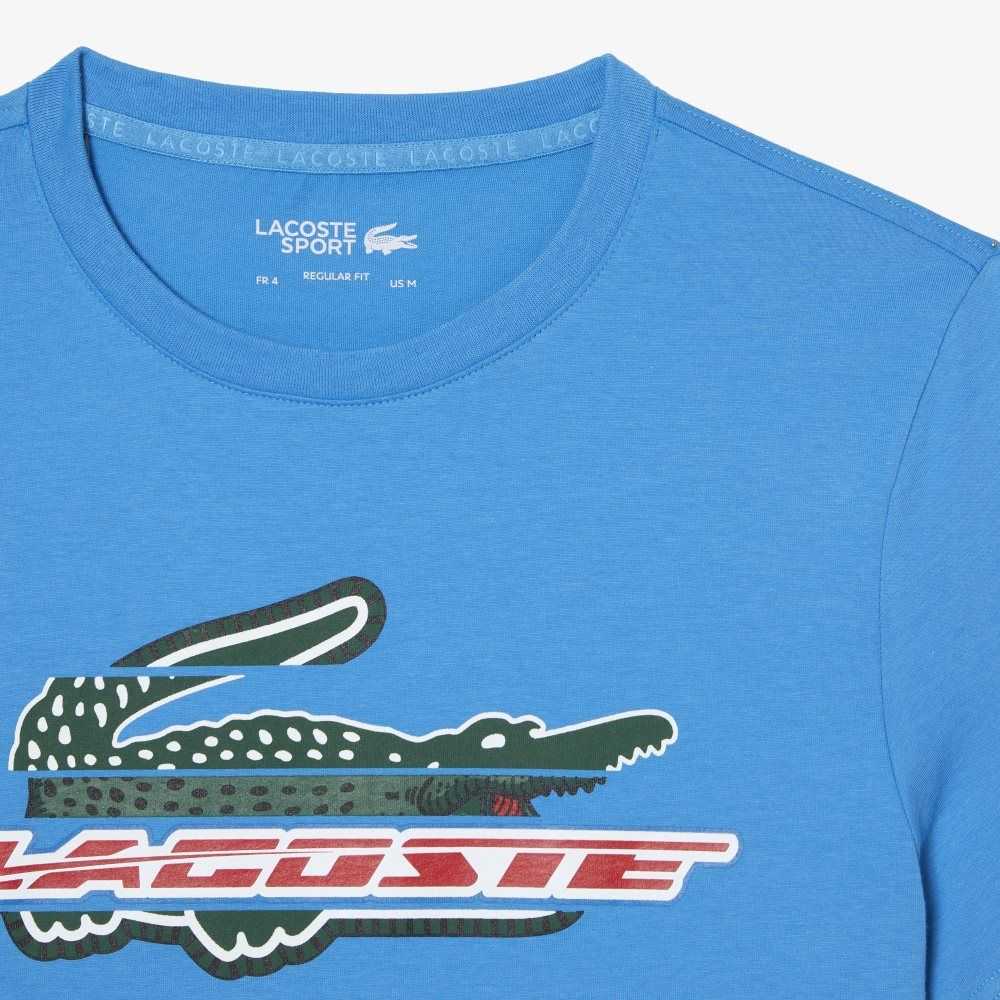 Lacoste SPORT Regular Fit Organic Cotton T-Shirt Blue | RSN-507943