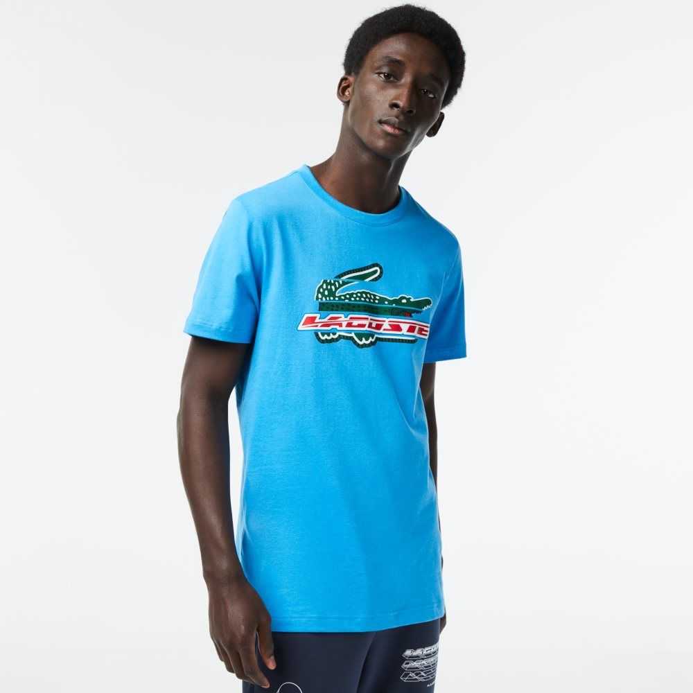 Lacoste SPORT Regular Fit Organic Cotton T-Shirt Blue | RSN-507943