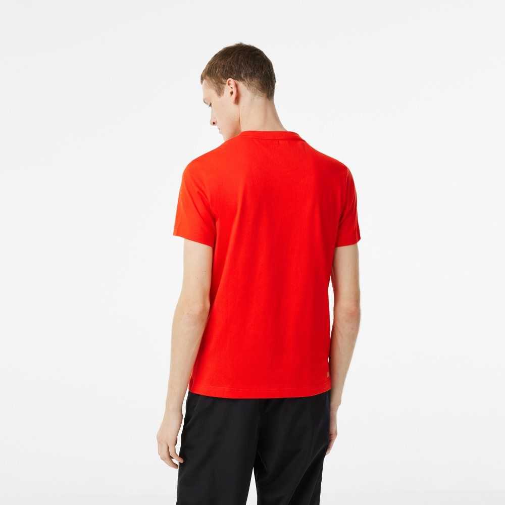 Lacoste SPORT Regular Fit T-Shirt with Contrast Branding Red | DSJ-709831