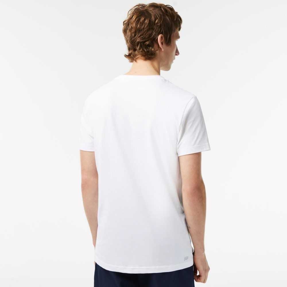 Lacoste SPORT Regular Fit T-Shirt with Contrast Branding White | JBI-364178