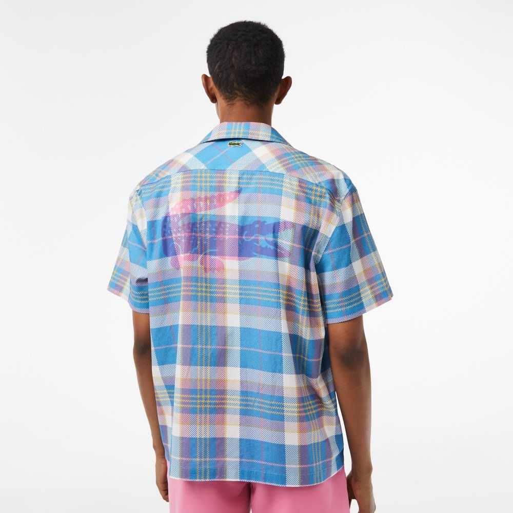 Lacoste Short Sleeve Organic Cotton Check Shirt Blue / White | UMX-072569