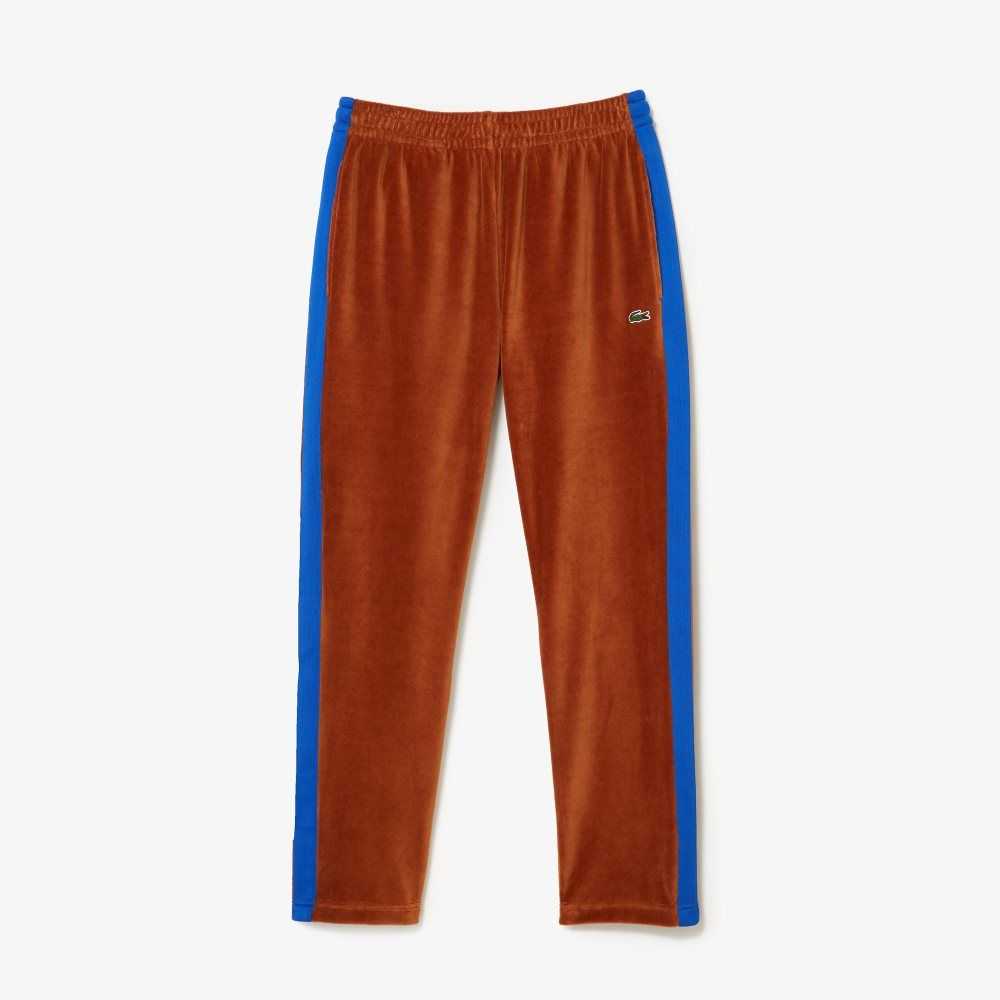 Lacoste Side Contrast Band Trackpants Brown | ZCQ-165384