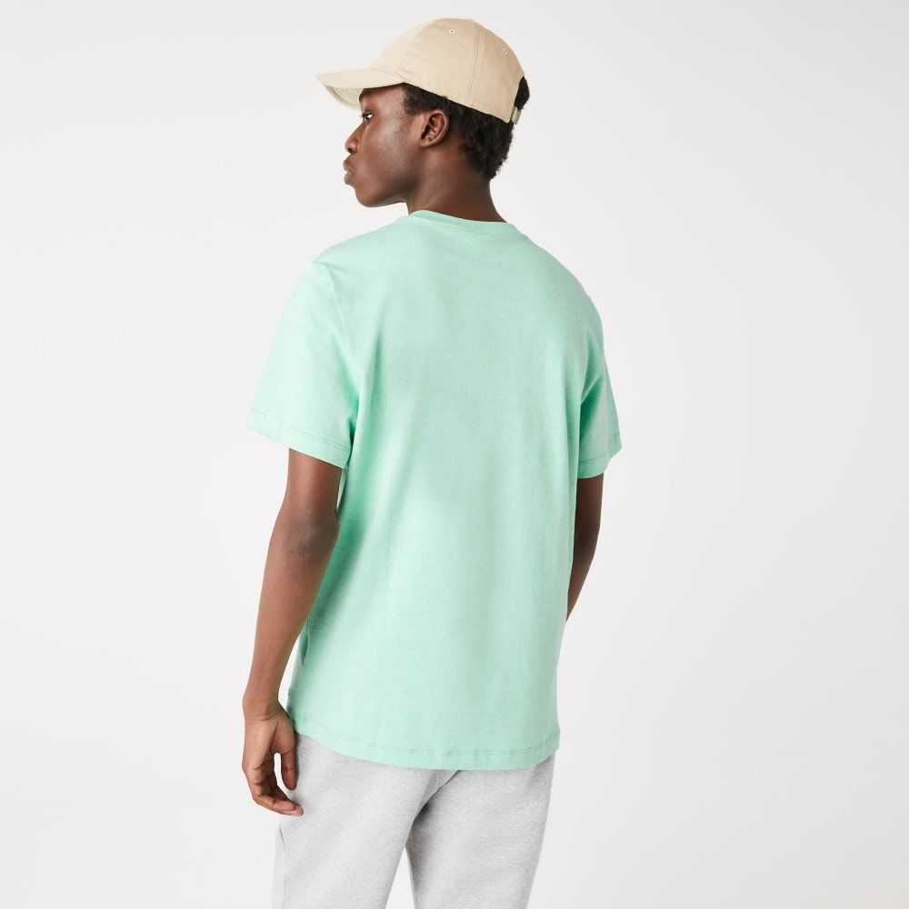 Lacoste Signature And Crocodile Print Crew Neck Cotton T-Shirt Green | MNF-651348