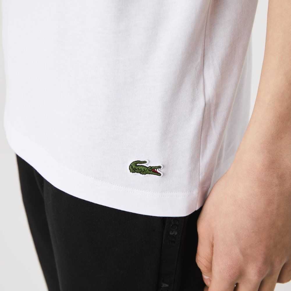 Lacoste Signature And Crocodile Print Crew Neck Cotton T-Shirt White | RHP-182064