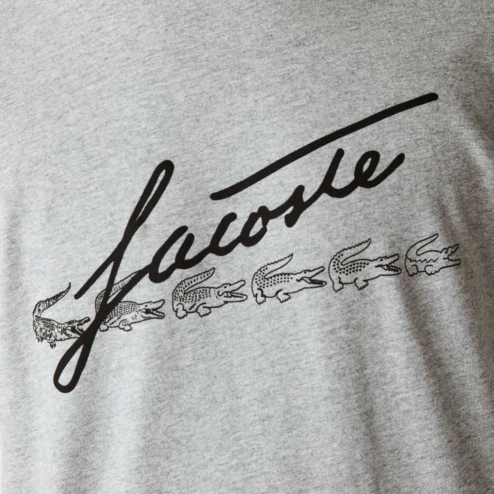 Lacoste Signature And Crocodile Print Crew Neck Cotton T-Shirt Grey Chine | UQR-825601