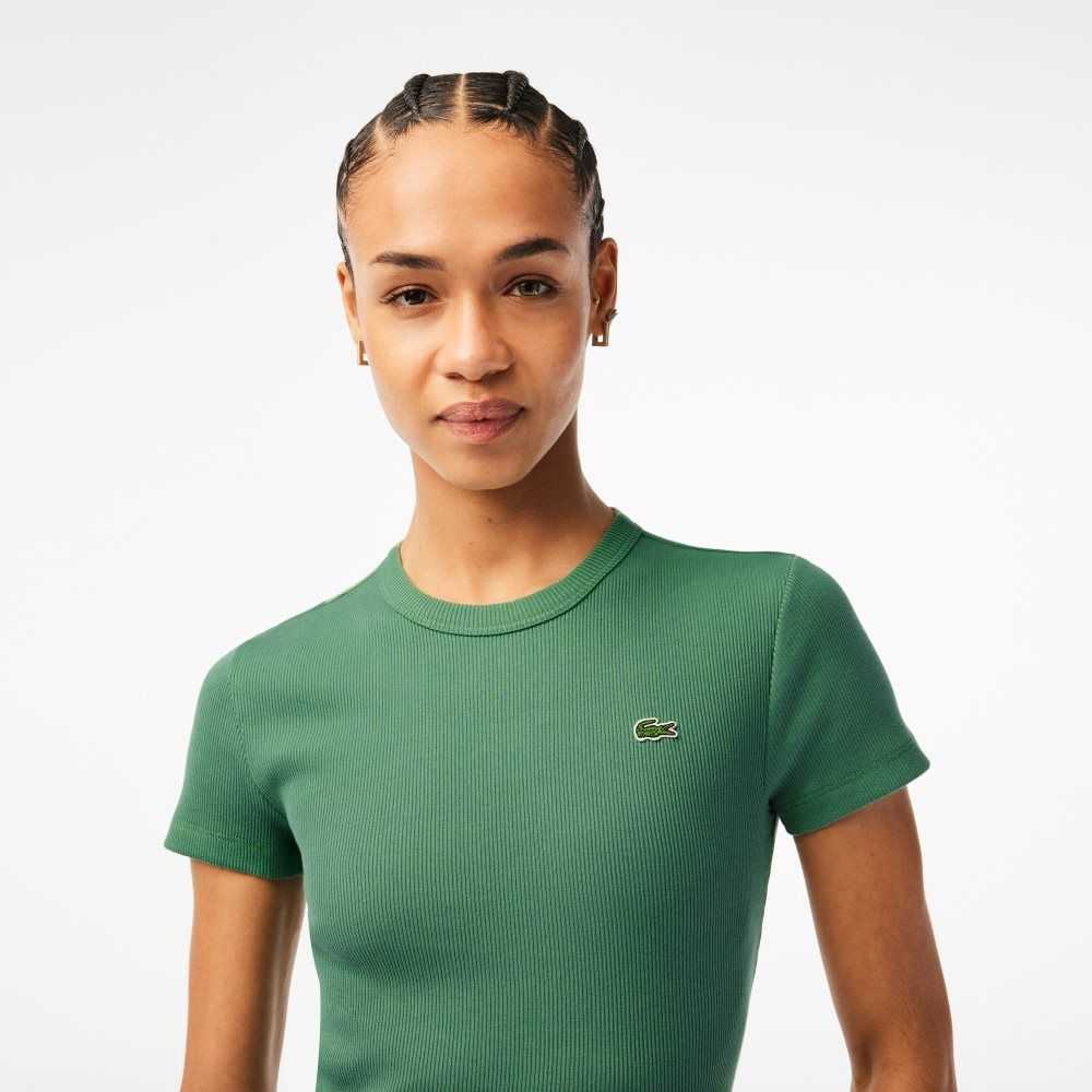 Lacoste Slim Fit Organic Cotton T-Shirt Khaki Green | BKW-724093