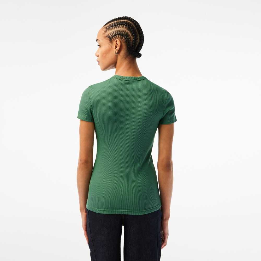 Lacoste Slim Fit Organic Cotton T-Shirt Khaki Green | BKW-724093