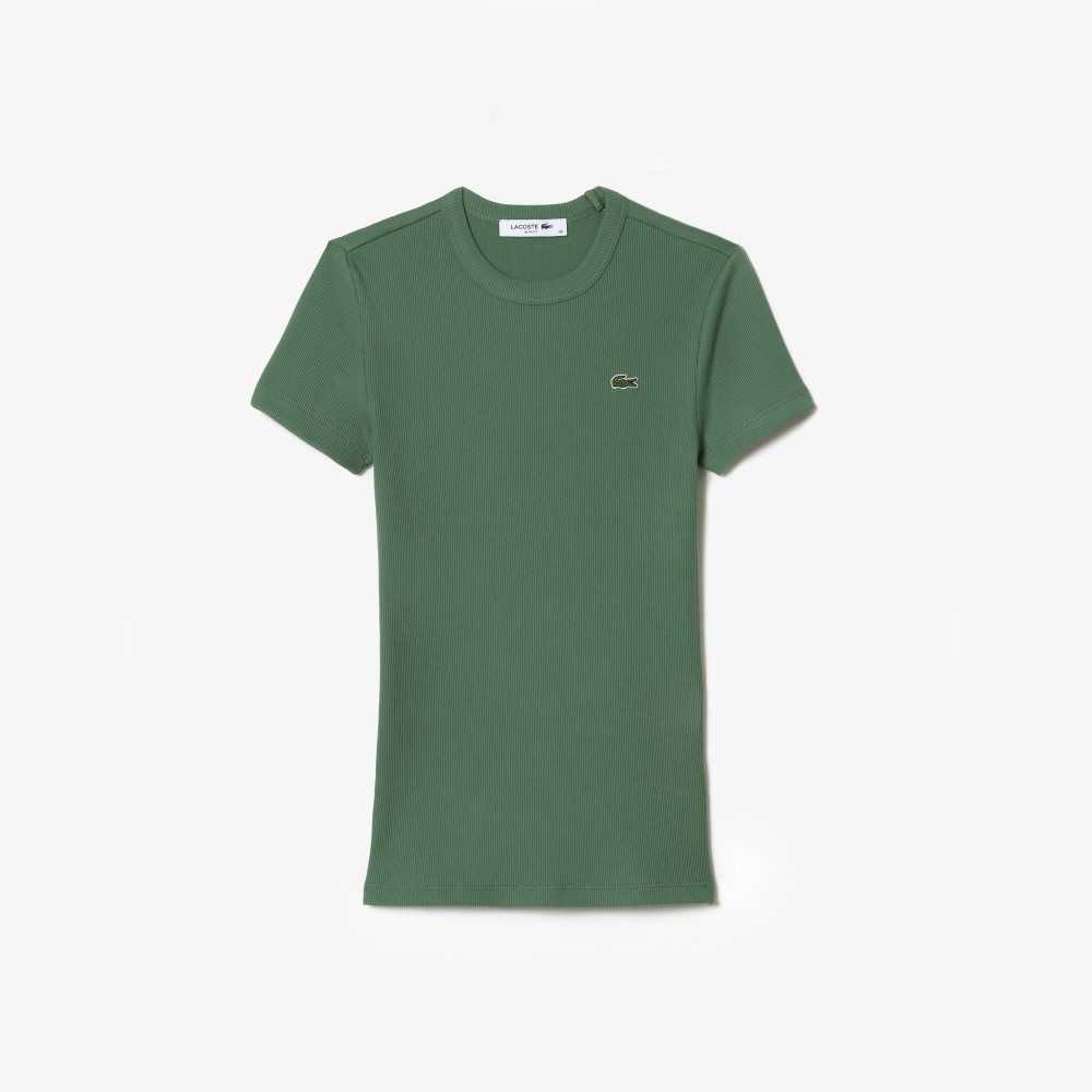 Lacoste Slim Fit Organic Cotton T-Shirt Khaki Green | BKW-724093