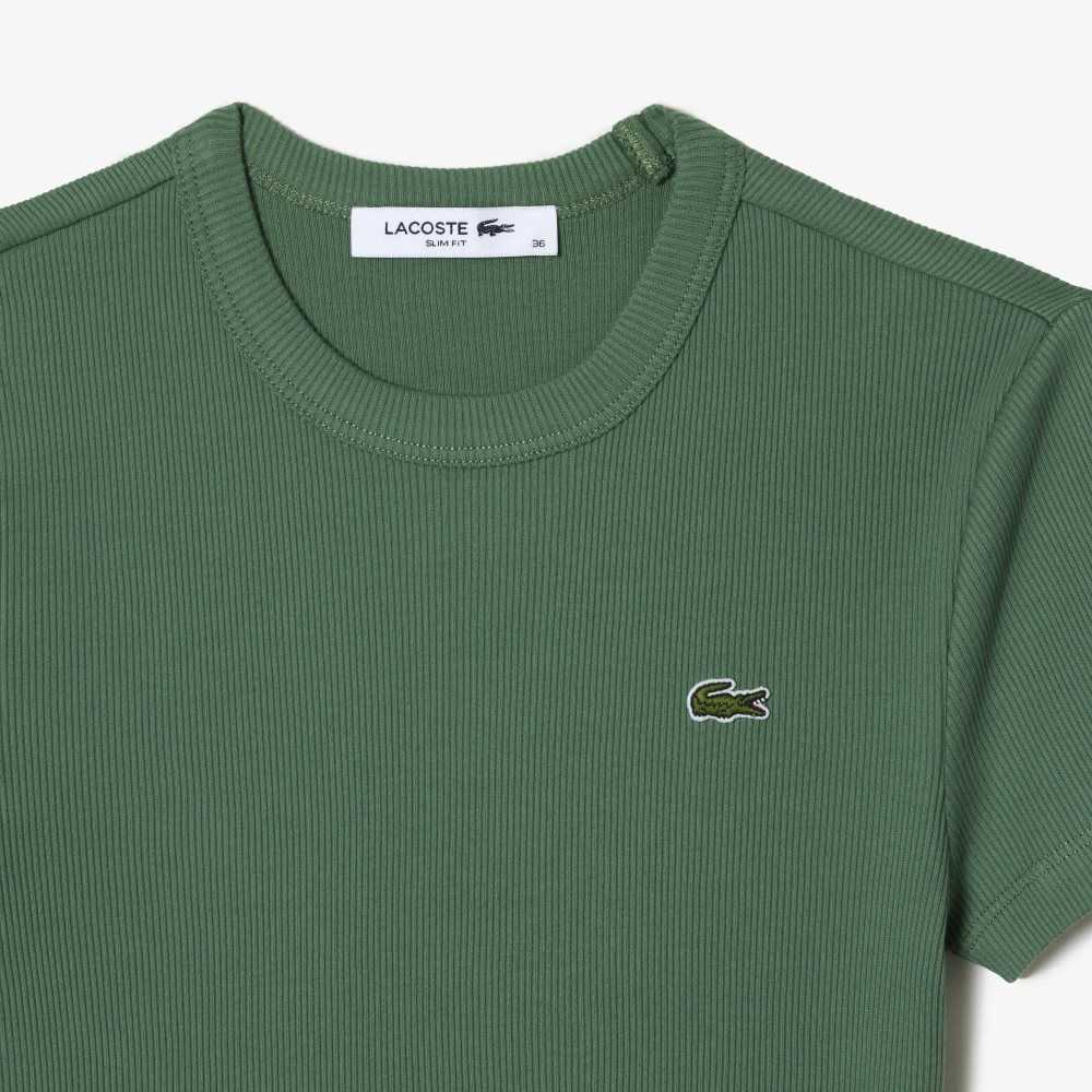 Lacoste Slim Fit Organic Cotton T-Shirt Khaki Green | BKW-724093