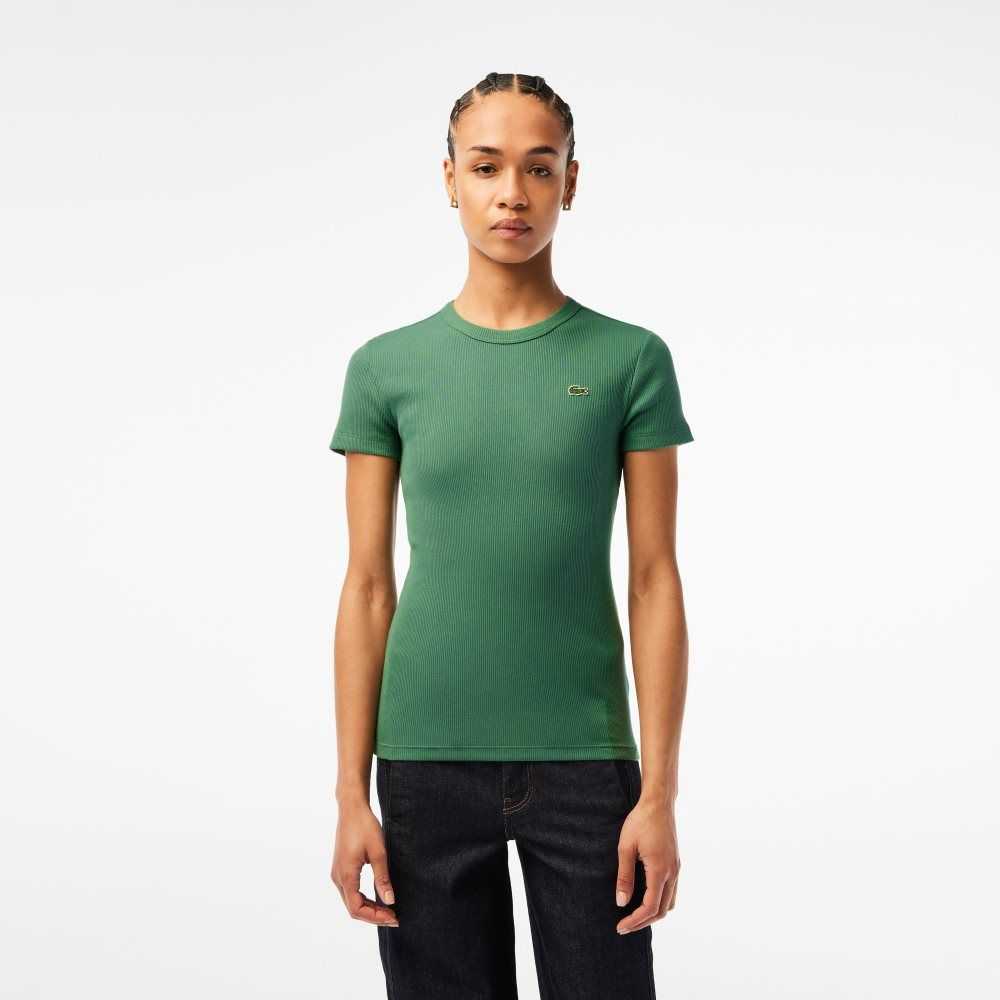 Lacoste Slim Fit Organic Cotton T-Shirt Khaki Green | BKW-724093