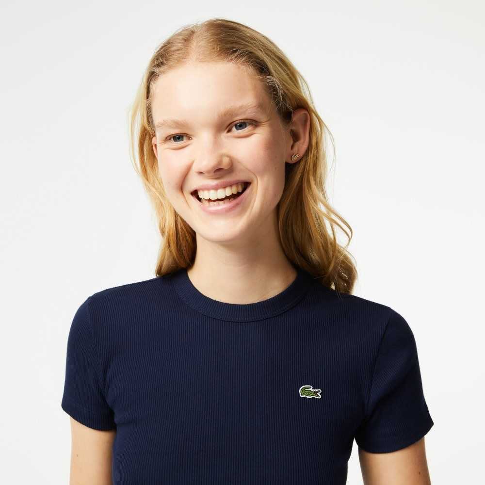 Lacoste Slim Fit Organic Cotton T-Shirt Navy Blue | CXW-956147