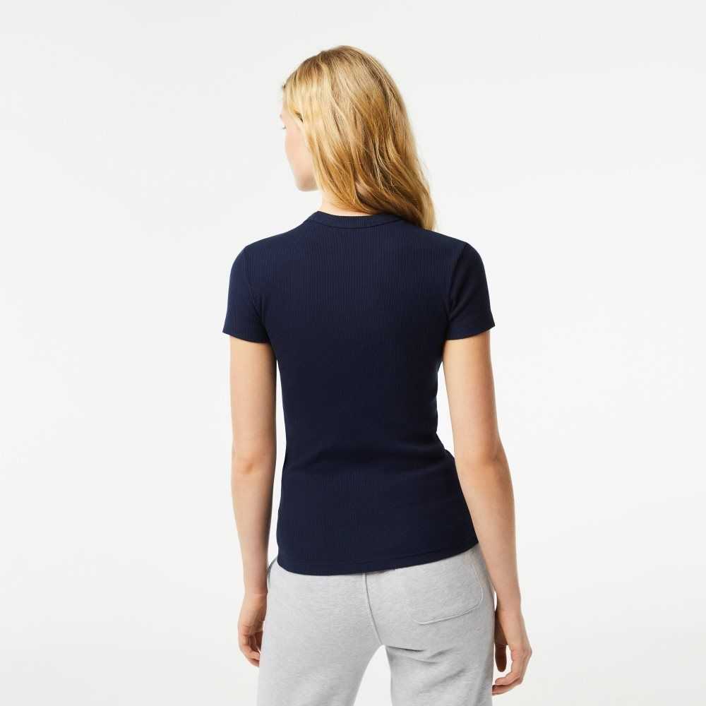 Lacoste Slim Fit Organic Cotton T-Shirt Navy Blue | CXW-956147