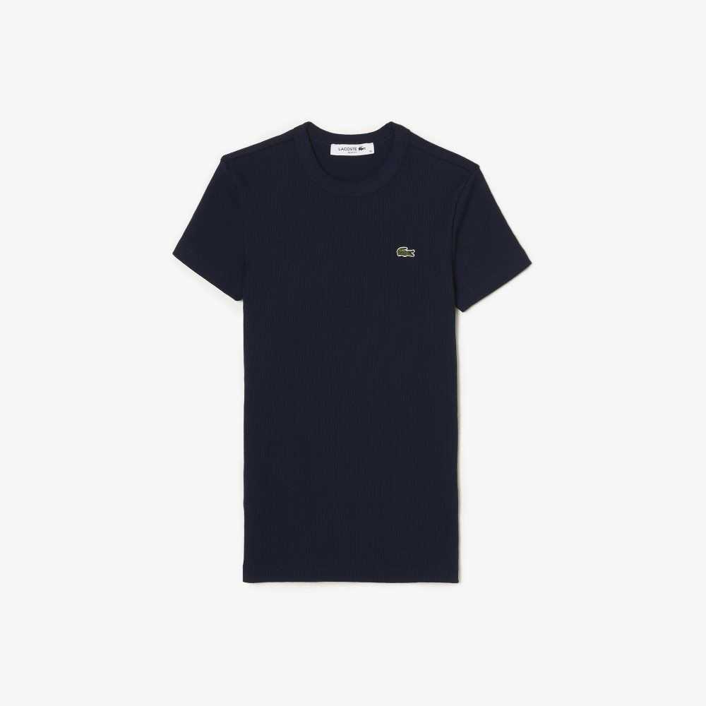 Lacoste Slim Fit Organic Cotton T-Shirt Navy Blue | CXW-956147