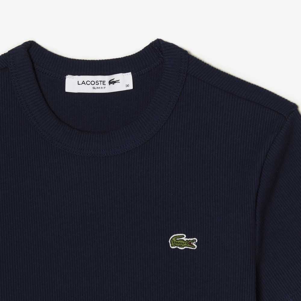 Lacoste Slim Fit Organic Cotton T-Shirt Navy Blue | CXW-956147