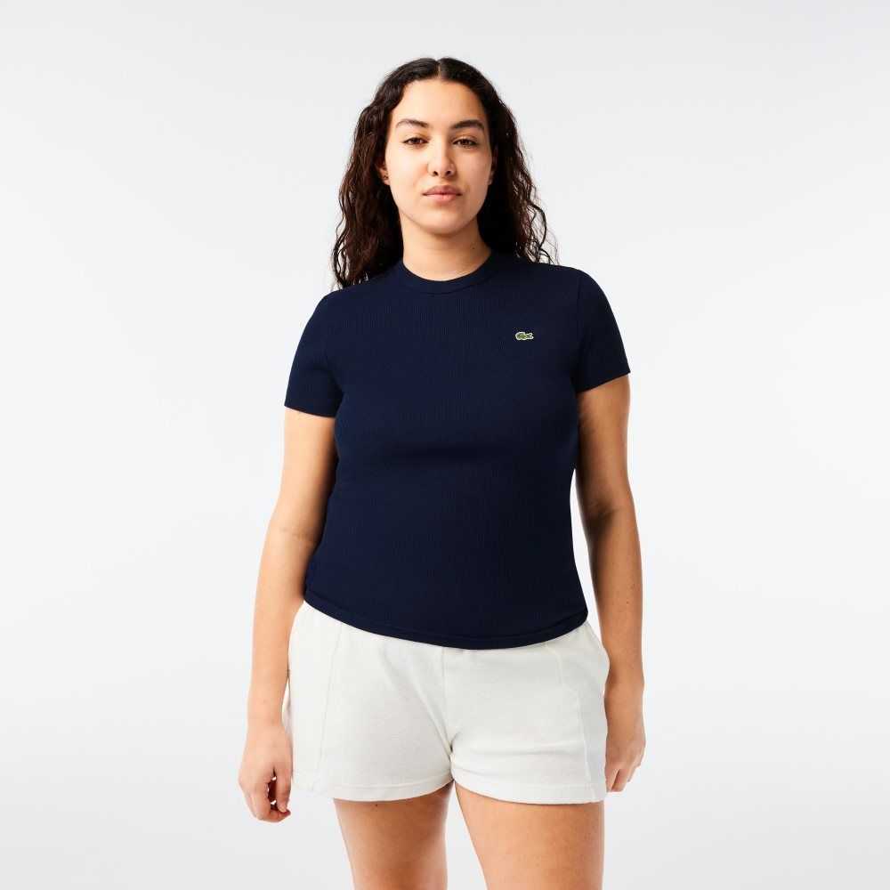 Lacoste Slim Fit Organic Cotton T-Shirt Navy Blue | CXW-956147