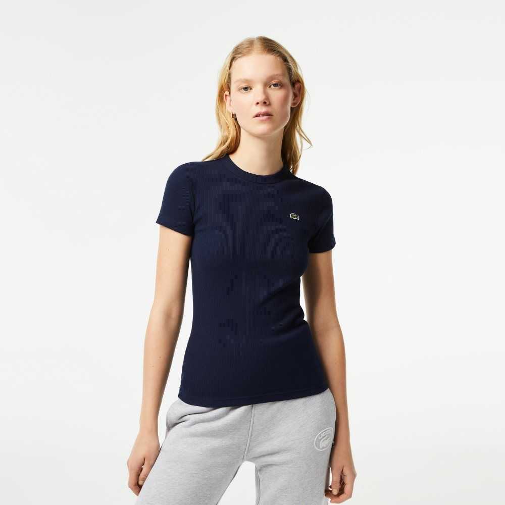 Lacoste Slim Fit Organic Cotton T-Shirt Navy Blue | CXW-956147