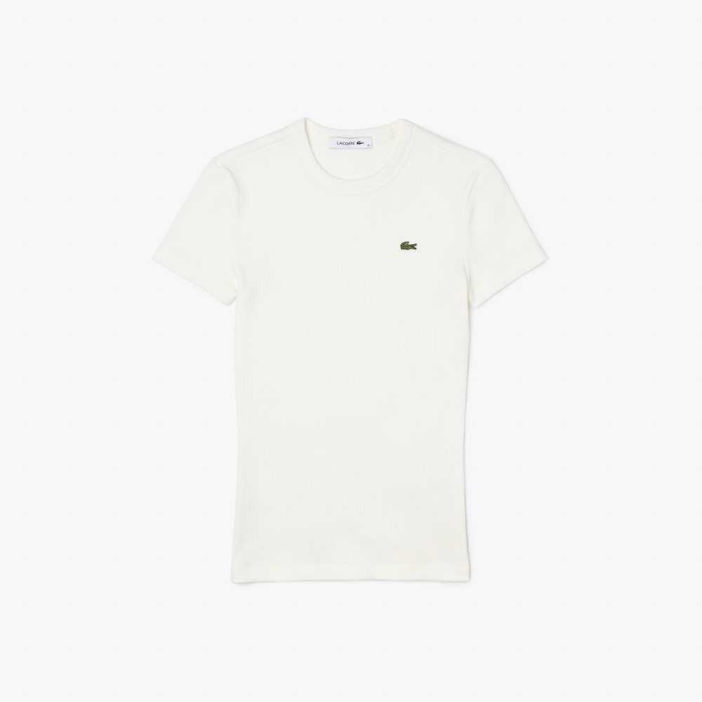 Lacoste Slim Fit Organic Cotton T-Shirt White | NAE-341502