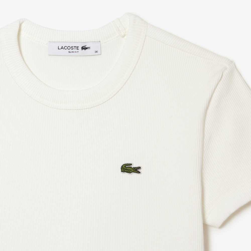 Lacoste Slim Fit Organic Cotton T-Shirt White | NAE-341502