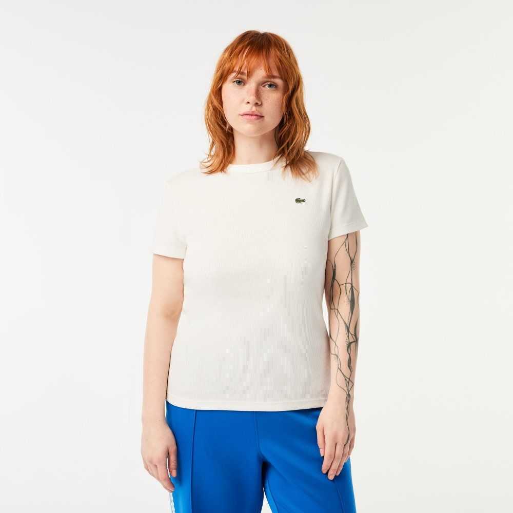 Lacoste Slim Fit Organic Cotton T-Shirt White | NAE-341502