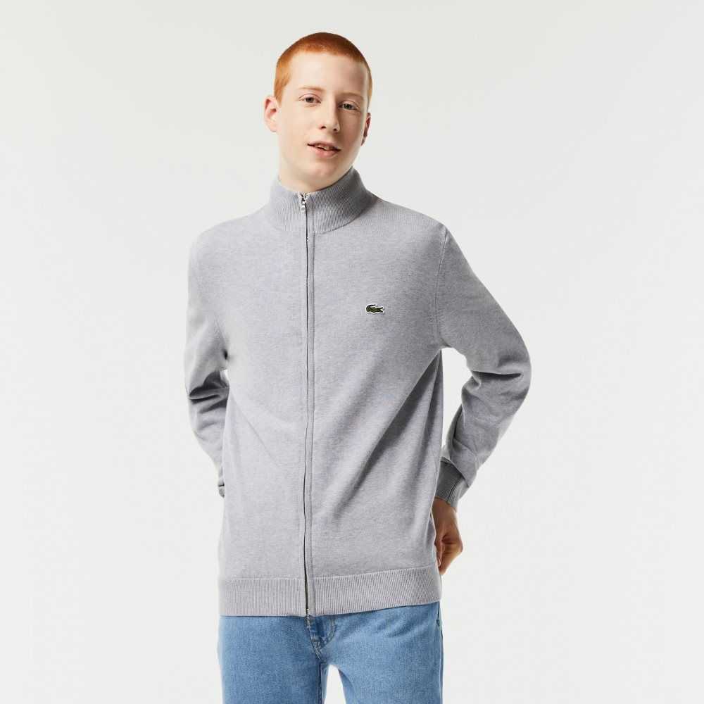 Lacoste Stand-Up Collar Organic Cotton Zippered Sweater Grey Chine | VGQ-402167