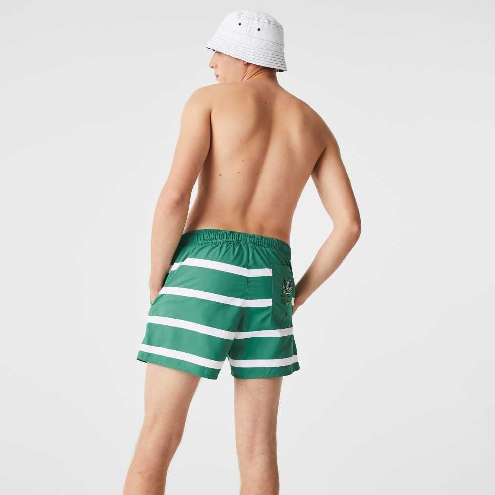 Lacoste Striped And Embroidered Light Swimming Trunks Green / White | WJI-849623