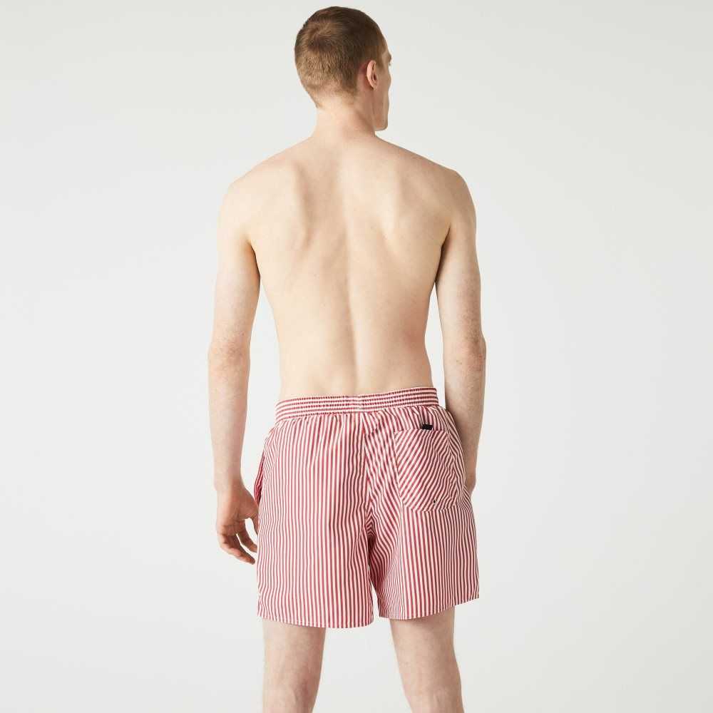 Lacoste Striped Swimming Trunks Xg4 | RFV-083124