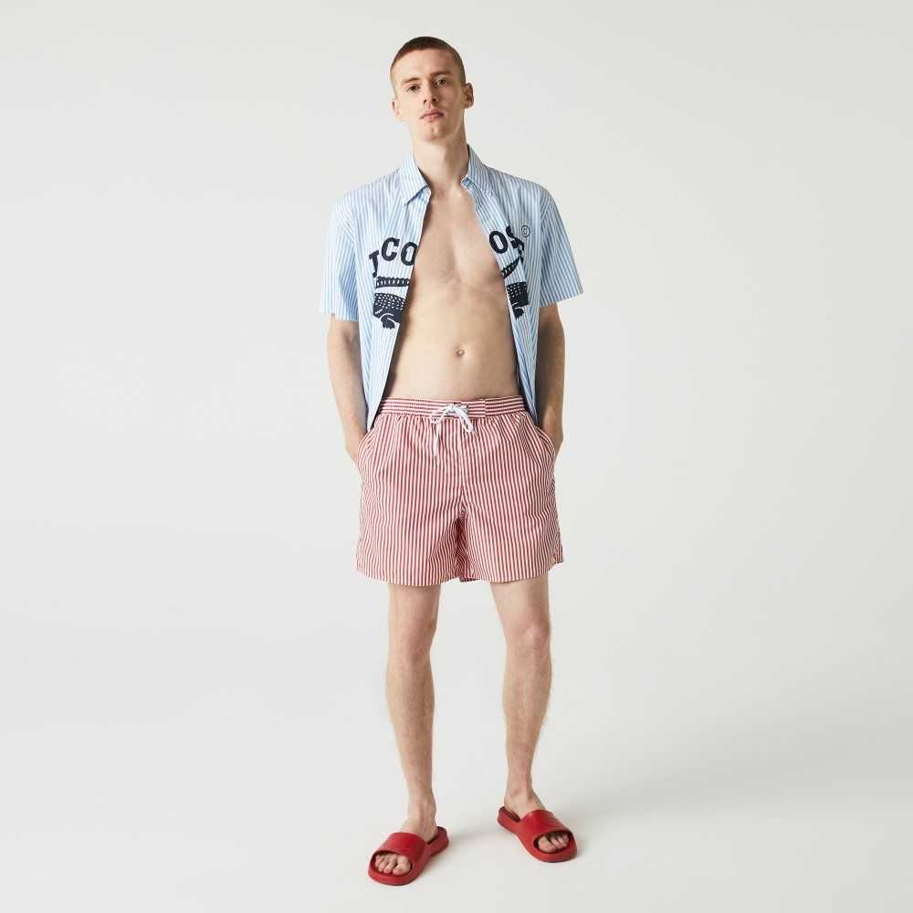 Lacoste Striped Swimming Trunks Xg4 | RFV-083124