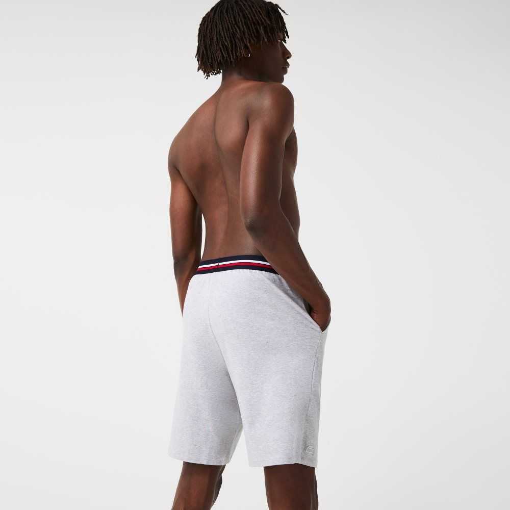 Lacoste Striped-Waist Long Boxer Briefs Grey Chine | GJX-315872