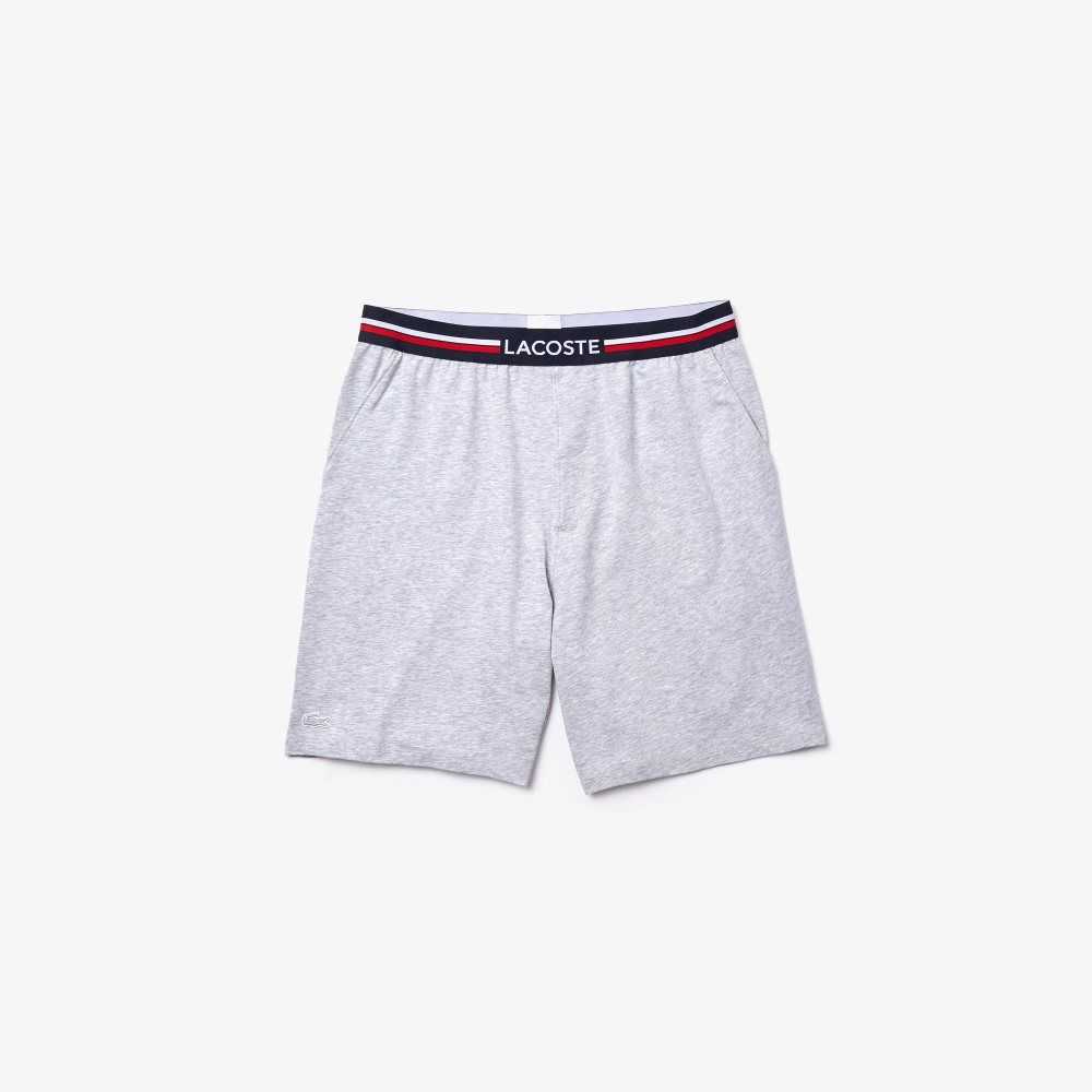 Lacoste Striped-Waist Long Boxer Briefs Grey Chine | GJX-315872