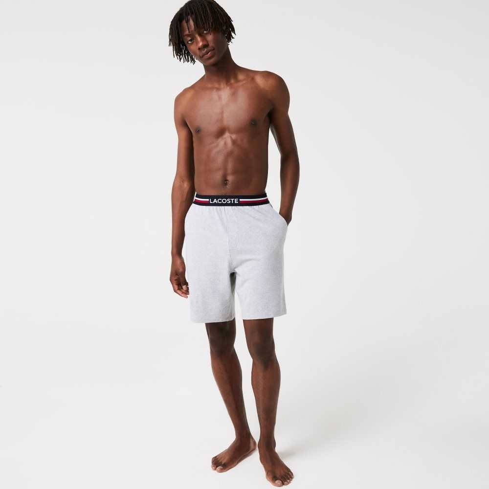 Lacoste Striped-Waist Long Boxer Briefs Grey Chine | GJX-315872