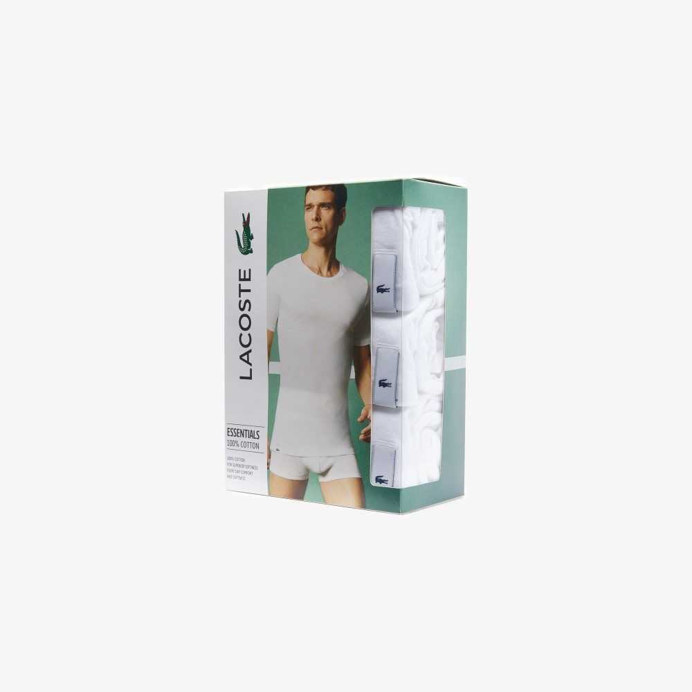 Lacoste T-Shirt 3-Pack White | XEC-940571